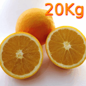 Naranjas Navel Ecológicas Caja de 20Kg